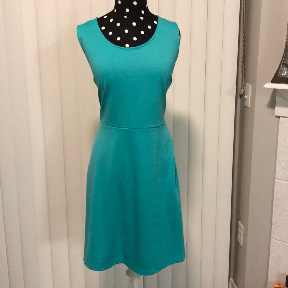 ❗️NWT❗️The Limited A-Line Dress